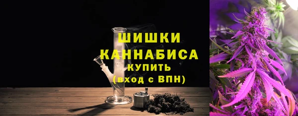 стаф Тында