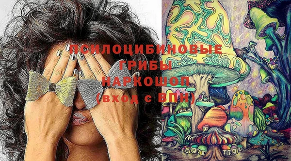 соль курить ск Михайлов