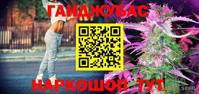 спайс Гай
