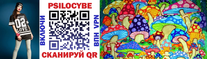 Псилоцибиновые грибы Cubensis  Нальчик 