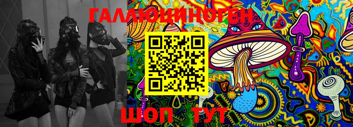 Нальчик  Псилоцибиновые грибы MAGIC MUSHROOMS  Вход с VPN  Псилоцибиновые грибы Cubensis 